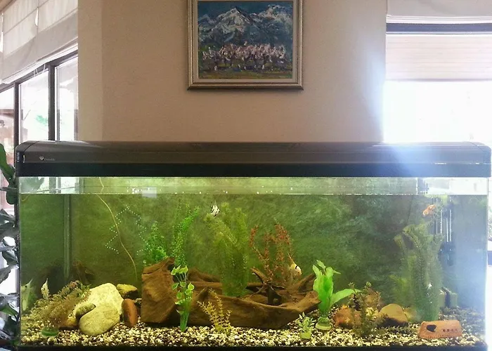 Aparthotel Winslow Infinity 3*