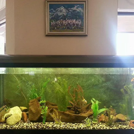 Ξενοδοχείο με διαμερίσματα Winslow Infinity 3*