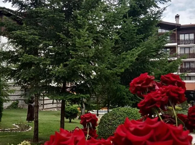 Winslow Infinity 3* 반스코