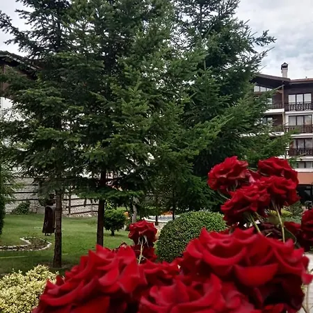 Winslow Infinity 3* 반스코